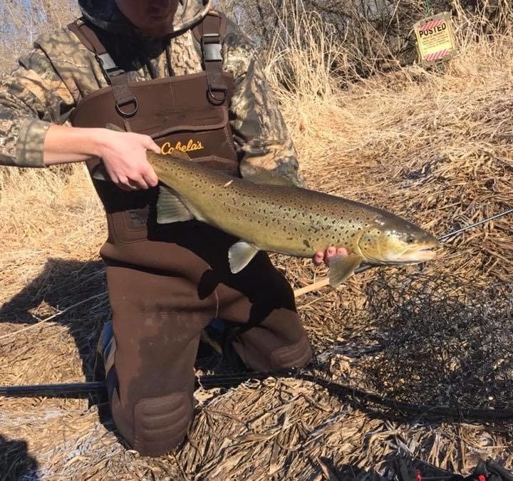 Fishing is starting soon!